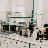 labs